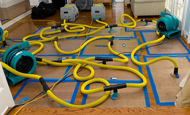 Professional Crawl Space Water Removal technician working in Wharton, TX
